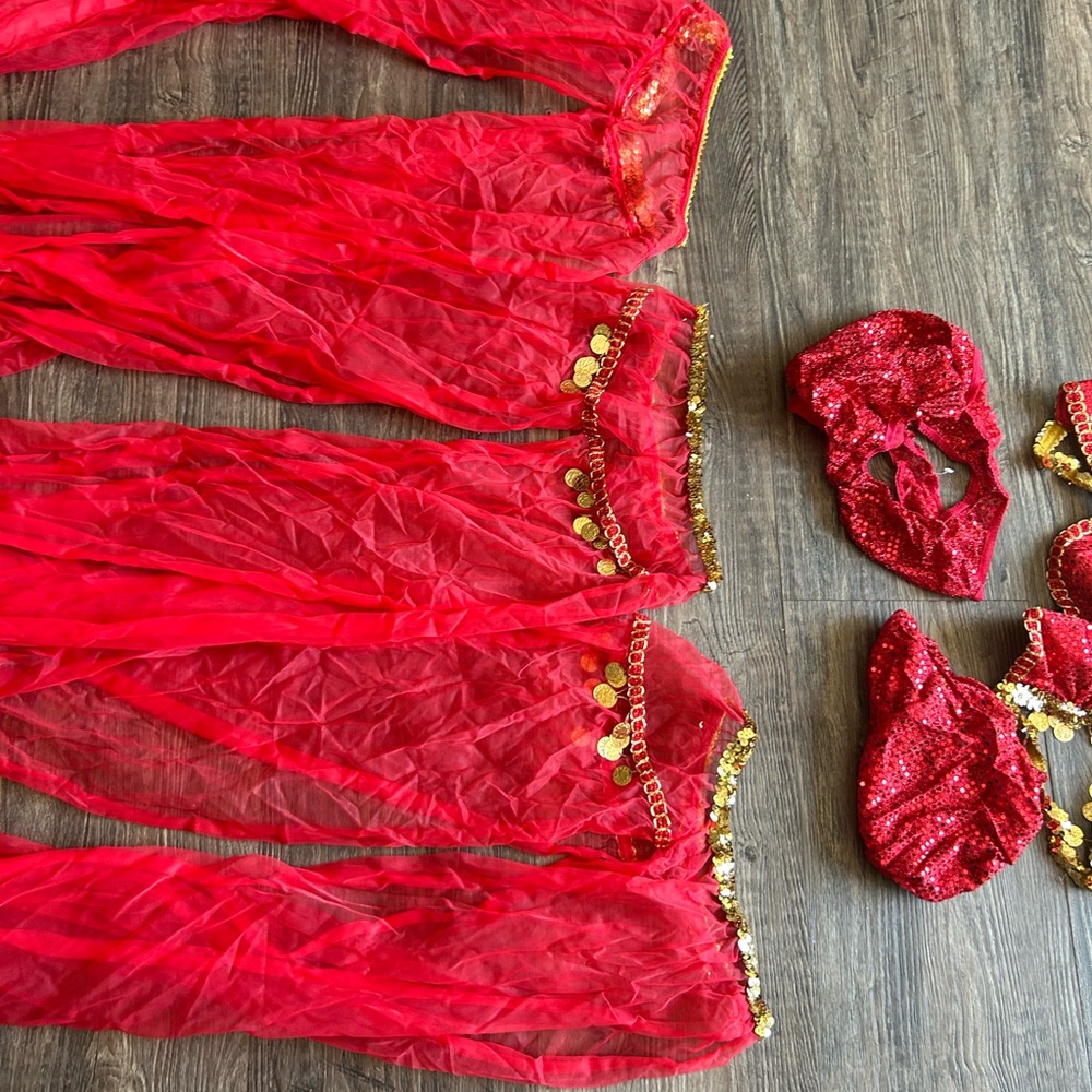 Fredericks of Hollywood Belly Dance  Set Harem Princess Costume Gypsy Genie